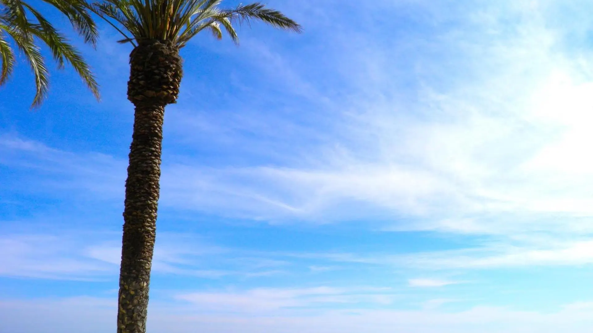 Suitur Exclusivo Chalet Piscina Playa Wifi マルベーリャ 0*,  スペイン